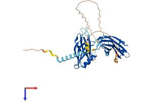 SYT7 Protein (AA 1-403) (His tag)