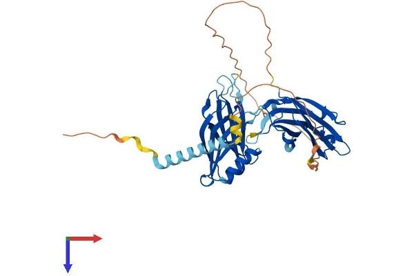 SYT7 Protein (AA 1-403) (His tag)