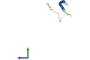 Protein Structure (PS) image for Pallidin Homolog (PLDN) (AA 1-172) protein (His tag) (ABIN7556184)