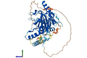 Protein Structure (PS) image for Interferon Regulatory Factor 3 (IRF3) (AA 1-419) protein (His tag) (ABIN7563532)