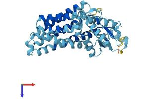 SFXN2 Protein (AA 1-322) (His tag)