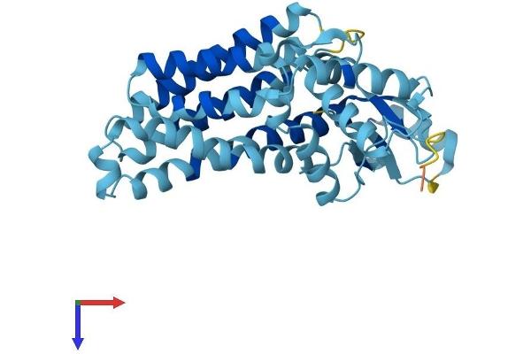 SFXN2 Protein (AA 1-322) (His tag)