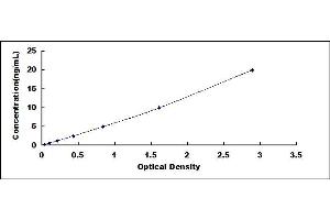 Typical standard curve (EGLN1 ELISA Kit)