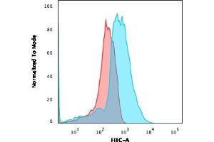 Flow Cytometric Analysis of PFA-fixed HEK293 cells using CD137L-Monospecific Mouse Monoclonal Antibody (CD137L/1547) followed by goat anti-Mouse IgG-CF488 (Blue); Isotype Control (Red). (TNFSF9 Antikörper)