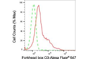 Flow cytometric analysis of Forkhead box O3 expression in HepG2 cells using Forkhead box O3 antibody (ABIN7798645), 1:2,000). (Rekombinanter FOXO3 Antikörper)