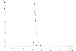 The purity of Mouse TEM1 is greater than 95 % as determined by SEC-HPLC. (CD248 Protein (AA 18-695) (His tag))
