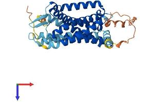GPR81 Protein (AA 1-346) (His tag)