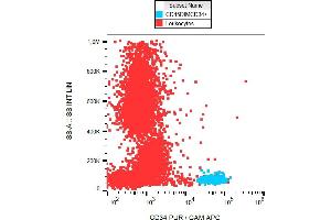 Flow cytometry analysis (surface staining) of CD34+ cells in human peripheral blood with anti-CD34 (581) purified.