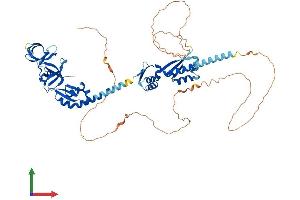 Protein Structure (PS) image for Fragile X Mental Retardation 1 (FMR1) (AA 1-614) protein (His tag) (ABIN7563192)