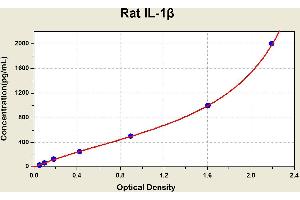 Diagramm of the ELISA kit to detect Rat 1 L-1betawith the optical density on the x-axis and the concentration on the y-axis.