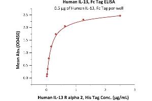 ELISA image for Interleukin 13 (IL13) (AA 21-132) (Active) protein (Fc Tag) (ABIN6938841)
