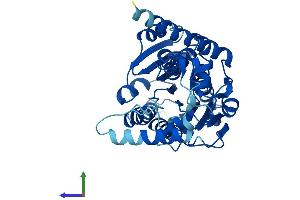 Protein Structure (PS) image for Hydroxy-delta-5-Steroid Dehydrogenase, 3 beta- and Steroid delta-Isomerase 2 (HSD3B2) (AA 1-372) protein (His tag) (ABIN7551835)
