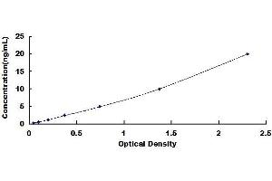 Typical standard curve