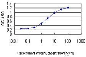 Detection limit for recombinant GST tagged ZHX1 is approximately 0. (ZHX1 Antikörper  (AA 731-829))