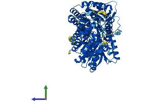 AlphaFold protein structure predicition of Human Recombinant ALDH16A1 Protein, UniprotID Q8IZ83