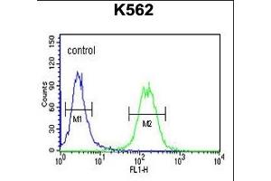 GALR1 Antibody (Center) (ABIN653295 and ABIN2842799) flow cytometric analysis of K562 cells (right histogram) compared to a negative control cell (left histogram). (Galanin Receptor 1 Antikörper  (AA 174-200))