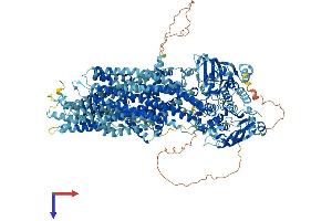 ABCC1 Protein (AA 1-1531) (His tag)