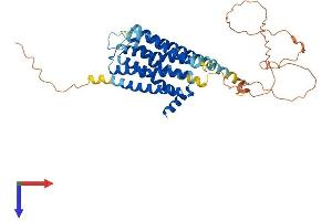DRD3 Protein (AA 1-446) (His tag)