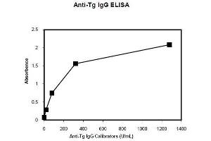 ELISA image for Anti-Tg IgG Antibody ELISA Kit (ABIN1305176)