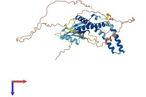 ELL3 Protein (AA 1-397) (His tag)
