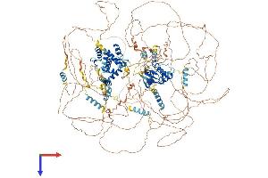 AlphaFold protein structure predicition of Mouse Recombinant Slx4 Protein, UniprotID Q6P1D7