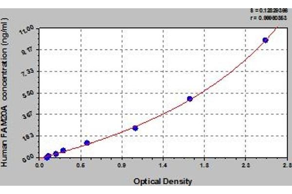 FAM20A ELISA Kit