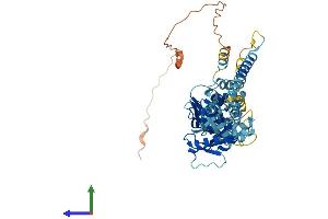 Protein Structure (PS) image for GTP Binding Protein 6 (Putative) (GTPBP6) (AA 1-516) protein (His tag) (ABIN7548138)