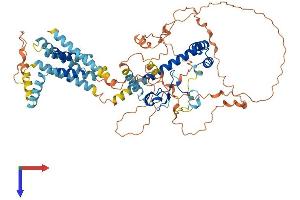TMEM201 Protein (AA 1-664) (His tag)