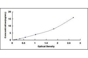 Typical standard curve (ALDOB ELISA Kit)