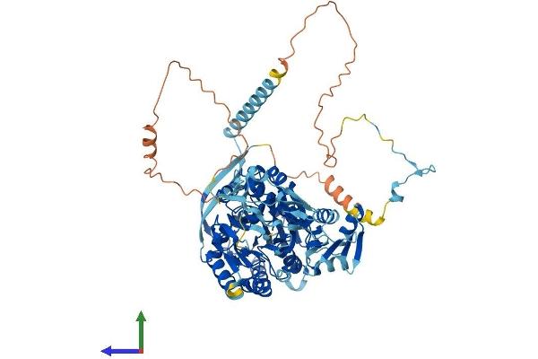 CPSF2 Protein (AA 1-782) (His tag)