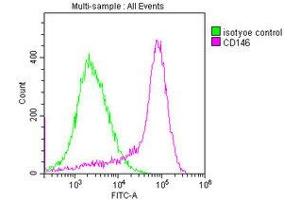 Overlay histogram showing MCF-7 cells stained with ABIN7147325 (red line) at 1:400. (MCAM Antikörper  (AA 50-646))