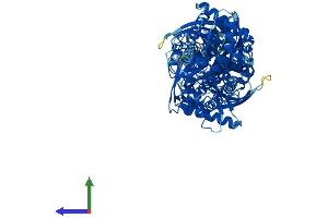 Protein Structure (PS) image for Hexokinase Domain Containing 1 (HKDC1) (AA 1-917) protein (His tag) (ABIN7548317)