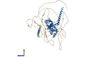 Protein Structure (PS) image for Neuronal PAS Domain Protein 2 (NPAS2) (AA 1-824) protein (His tag) (ABIN7554785)