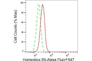 Flow cytometric analysis of Homeobox B9 expression in HepG2 cells using Homeobox B9 antibody (ABIN7798993), 1:2,000). (Rekombinanter HOXB9 Antikörper)