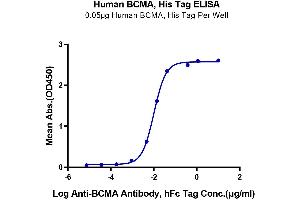 Immobilized Human BCMA, His Tag at 0.