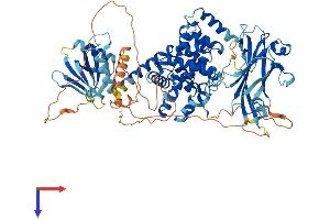 RABGAP1L Protein (AA 1-815) (His tag)