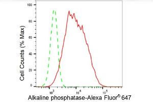 Flow cytometric analysis of Alkaline phosphatase expression in HepG2 cells using Alkaline phosphatase antibody (ABIN7797576), 1:2,000).