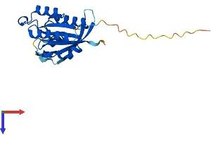 NKIRAS1 Protein (AA 1-192) (His tag)