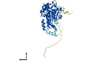 Protein Structure (PS) image for DNA (Cytosine-5-)-Methyltransferase 3 Like (TRDMT1) (AA 1-386) protein (His tag) (ABIN7547119)