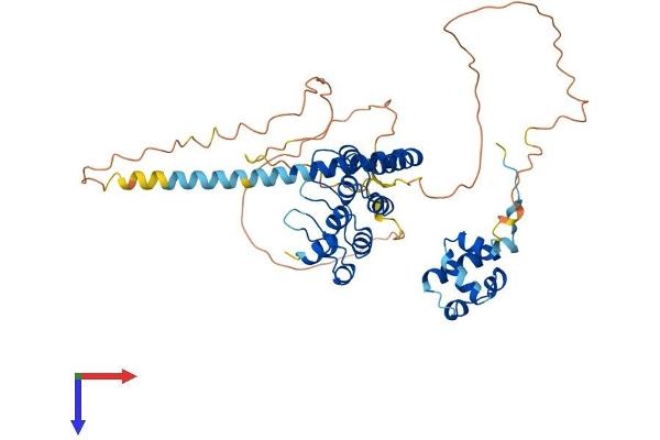 USH1G Protein (AA 1-461) (His tag)