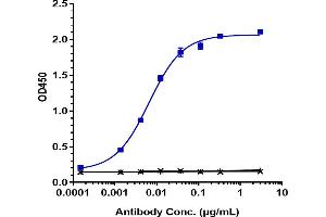 Immobilized human MMP9 His at 2 μg/mL can bind Anti-MMP9 Reference Antibody (andecaliximab), EC50=0.
