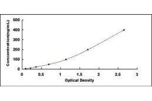 Anti-IgA Antibody ELISA Kit