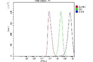 Flow Cytometry analysis of HEL cells using anti-Ankyrin Erythroid/ANK/ANK1 antibody (ABIN7599959). (Erythrocyte Ankyrin Antikörper  (AA 1300-1844))