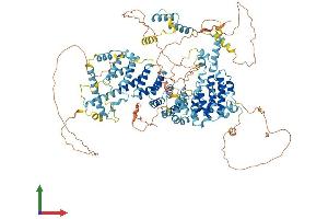 AlphaFold protein structure predicition of Mouse Recombinant Cebpz Protein, UniprotID P53569