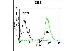 ARL2 Antibody (C-term) (ABIN650704 and ABIN2839229) flow cytometric analysis of 293 cells (right histogram) compared to a negative control cell (left histogram). (ARL2 Antikörper  (C-Term))