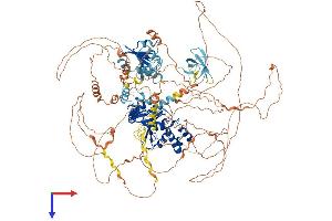ALG13 Protein (AA 1-1166) (His tag)