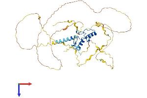 ZNF207 Protein (AA 1-478) (His tag)