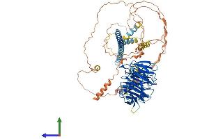 Protein Structure (PS) image for Striatin, Calmodulin Binding Protein 4 (STRN4) (AA 1-760) protein (His tag) (ABIN7556517)
