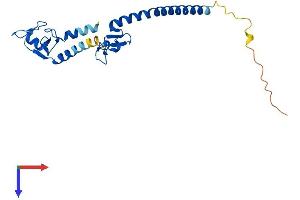 AlphaFold protein structure predicition of Human Recombinant TRIM61 Protein, UniprotID Q5EBN2