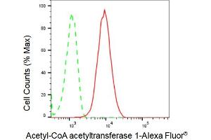 Flow cytometric analysis of Acetyl-CoA acetyltransferase 1 expression in HepG2 cells using Acetyl-CoA acetyltransferase 1 antibody (ABIN7797439), 1:2,000). (Rekombinanter ACAT1 Antikörper)